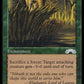(109) Magic The Gathering The List Single: Elven Palisade  Uncommon