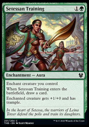 (201/254) Magic The Gathering Theros Beyond Death Single: Setessan Training Holo Common