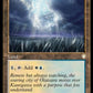 (201) Magic The Gathering Commander: The Brothers' War Single: Skycloud Expanse  Rare