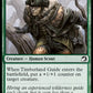 (202) Magic The Gathering Innistrad: Midnight Hunt Single: Timberland Guide Holo Common