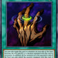 (082) YuGiOh TCG DB2: Dark Beginning 2 Single: Ring of Magnetism  Rare