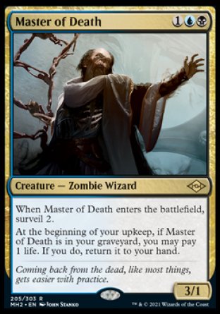 (205) Magic The Gathering Modern Horizons 2 Single: Master of Death  Rare