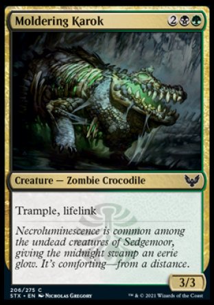 (206) Magic The Gathering Strixhaven: School of Mages Single: Moldering Karok Holo Common