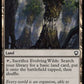 (208) Magic The Gathering Commander: Dominaria United Single: Evolving Wilds  Common