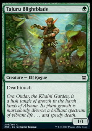 (208/280) Magic The Gathering Zendikar Rising Single: Tajuru Blightblade Holo Common