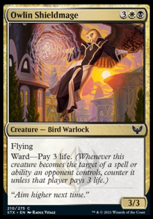 (210) Magic The Gathering Strixhaven: School of Mages Single: Owlin Shieldmage Holo Common