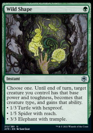 (212) Magic The Gathering Adventures in the Forgotten Realms Single: Wild Shape  Uncommon