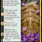 (213) Magic The Gathering Kaldheim: Promos Single: Harald Unites the Elves (V.2)  Rare