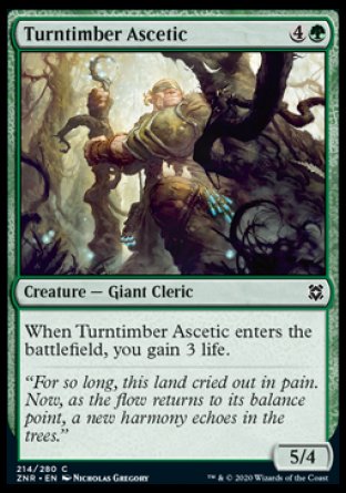 (214/280) Magic The Gathering Zendikar Rising Single: Turntimber Ascetic Holo Common
