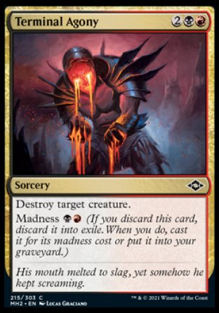 (215) Magic The Gathering Modern Horizons 2 Single: Terminal Agony  Common