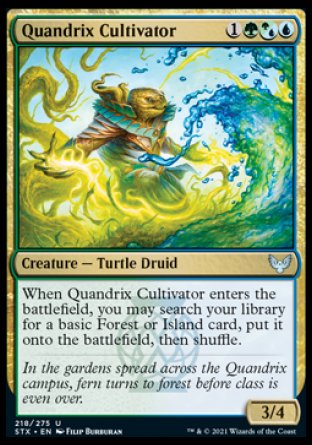 (218) Magic The Gathering Strixhaven: School of Mages Single: Quandrix Cultivator  Uncommon