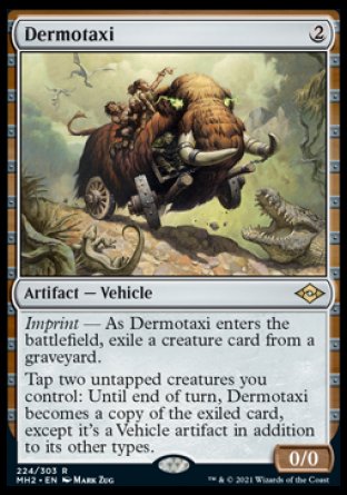 (224) Magic The Gathering Modern Horizons 2 Single: Dermotaxi Holo Rare