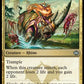 (224) Magic The Gathering Tarkir: Dragonstorm Single: Skirmish Rhino Holo Uncommon