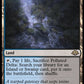 (224) Magic The Gathering Modern Horizons 3 Single: Polluted Delta  Holo Rare