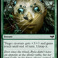(227) Magic The Gathering Innistrad: Crimson Vow Single: Witch's Web  Common