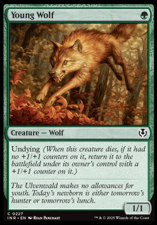 (227) Magic The Gathering Innistrad Remastered Single: Young Wolf  Common