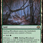 (228) Magic The Gathering Modern Horizons 3 Single: Shifting Woodland  Holo Rare