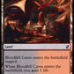 (230) Magic The Gathering Commander 2019 Single: Bloodfell Caves  Common