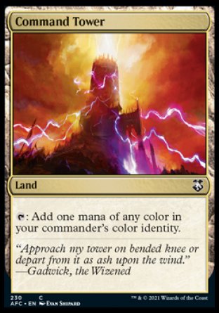 (230) Magic The Gathering Commander: Adventures in the Forgotten Realms Single: Command Tower  Common