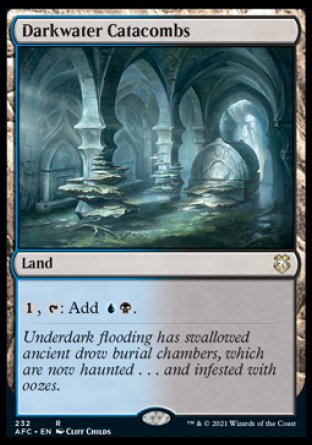 (232) Magic The Gathering Commander: Adventures in the Forgotten Realms Single: Darkwater Catacombs  Rare