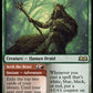 (234) Magic The Gathering Wilds of Eldraine Single: Questing Druid // Seek the Beast  Rare