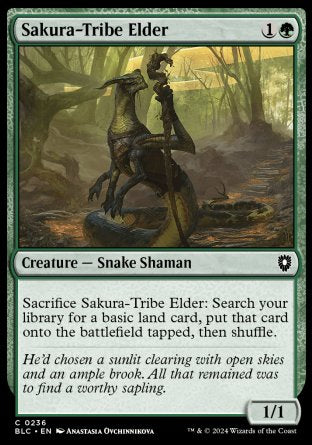 (236) Magic The Gathering Commander: Bloomburrow Single: Sakura-Tribe Elder  Common