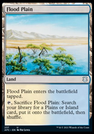 (237) Magic The Gathering Commander: Adventures in the Forgotten Realms Single: Flood Plain  Uncommon