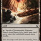 (239) Magic The Gathering Commander: Dominaria United Single: Terramorphic Expanse Holo Common