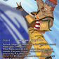 (108) Final Fantasy TCG Hidden Legends Single: Wakka (24-108) (V.2) Holo Hero