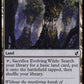 (241) Magic The Gathering Commander 2019 Single: Evolving Wilds Holo Common