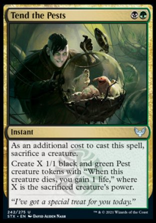 (242) Magic The Gathering Strixhaven: School of Mages Single: Tend the Pests Holo Uncommon