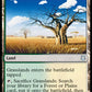 (242) Magic The Gathering Commander: Adventures in the Forgotten Realms Single: Grasslands  Uncommon