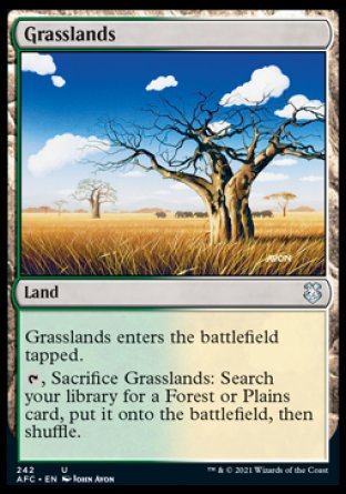 (242) Magic The Gathering Commander: Adventures in the Forgotten Realms Single: Grasslands  Uncommon