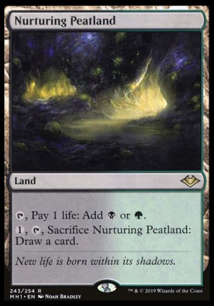 (243/254) Magic The Gathering Modern Horizons Single: Nurturing Peatland  Rare
