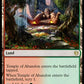 (244/254) Magic The Gathering Theros Beyond Death Single: Temple of Abandon Holo Rare