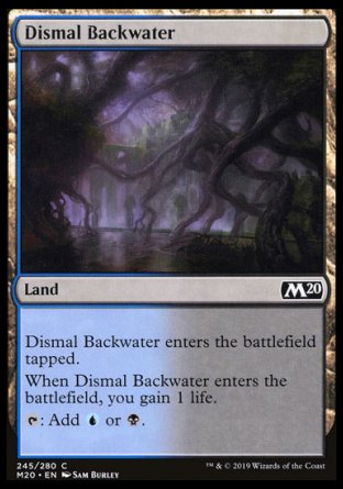 (245/280) Magic The Gathering Core 2020 Single: Dismal Backwater Holo Common