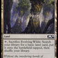 (246/280) Magic The Gathering Core 2020 Single: Evolving Wilds Holo Common