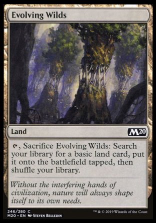 (246/280) Magic The Gathering Core 2020 Single: Evolving Wilds Holo Common