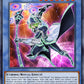 (095) YuGiOh TCG MP19: 2019 Gold Sarcophagus Tin Mega Pack Single: Cyberse Magician  Rare
