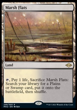 (248) Magic The Gathering Modern Horizons 2 Single: Marsh Flats  Rare