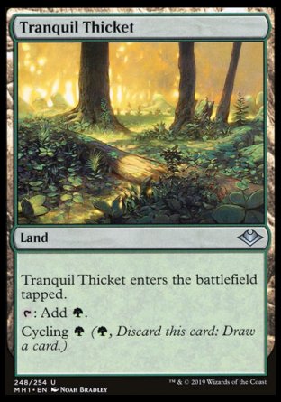 (248/254) Magic The Gathering Modern Horizons Single: Tranquil Thicket  Uncommon