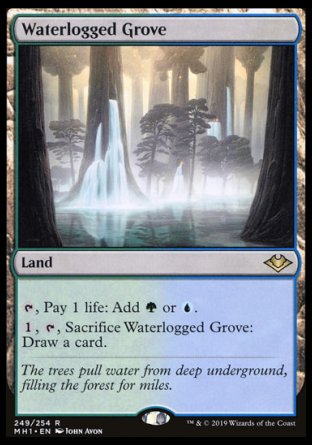 (249/254) Magic The Gathering Modern Horizons Single: Waterlogged Grove  Rare
