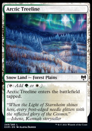 (249/285) Magic The Gathering Kaldheim Single: Arctic Treeline Holo Common