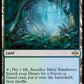 (250) Magic The Gathering Modern Horizons 2 Single: Misty Rainforest  Rare