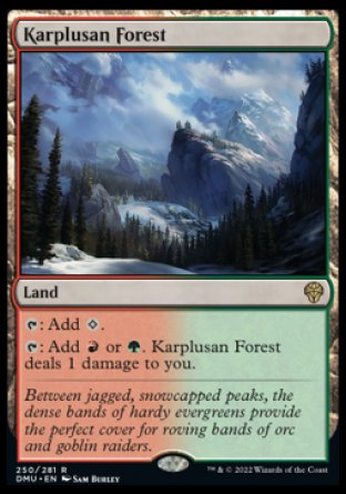 (250) Magic The Gathering Dominaria United Single: Karplusan Forest  Rare