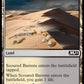 (250) Magic The Gathering Core 2021 Single: Scoured Barrens Holo Common