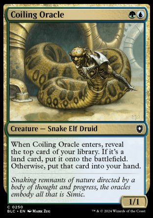 (250) Magic The Gathering Commander: Bloomburrow Single: Coiling Oracle  Common