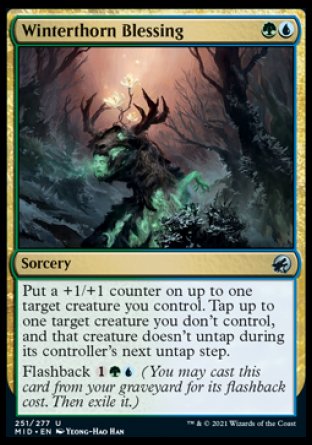 (251) Magic The Gathering Innistrad: Midnight Hunt Single: Winterthorn Blessing Holo Uncommon