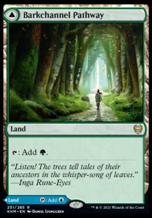 (251) Magic The Gathering Kaldheim: Promos Single: Barkchannel Pathway // Tidechannel Pathway Holo Rare
