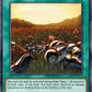 (195) YuGiOh TCG DB2: Dark Beginning 2 Single: After the Struggle  Common